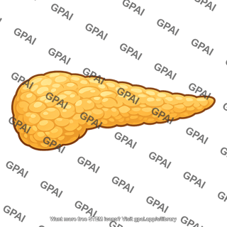 Pancreas