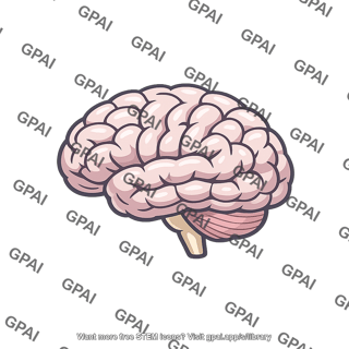 Human brain