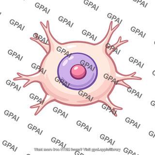 Neuron soma