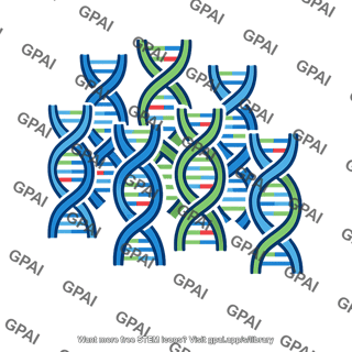Human genome multiple strands