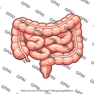 Human intestine