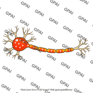 Neuron depolarized