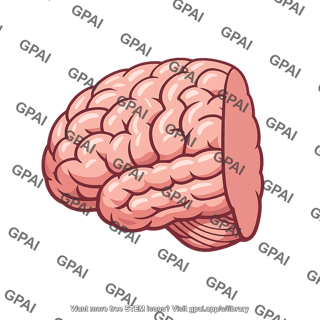 Brain hemisphere