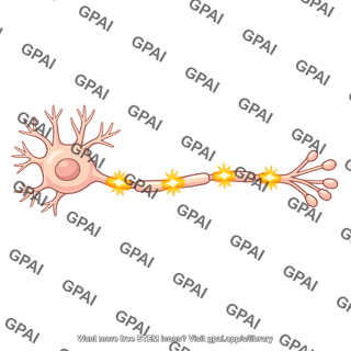 Neuron firing