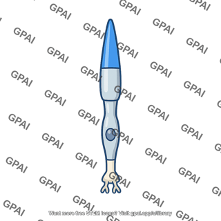 Cone photoreceptor blue sensitive