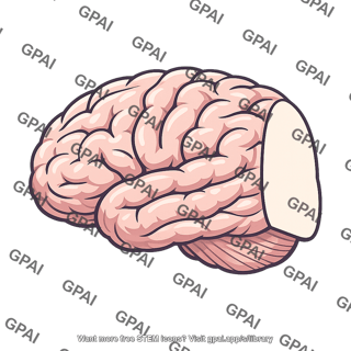 Cerebral hemisphere