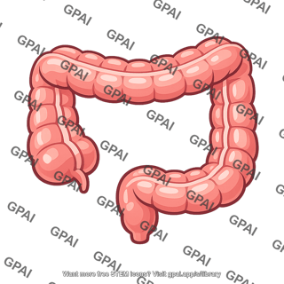Colon