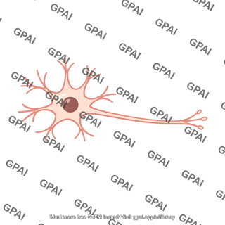 Neuron
