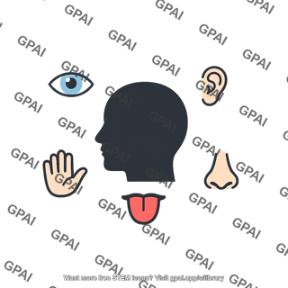 Sensory experience