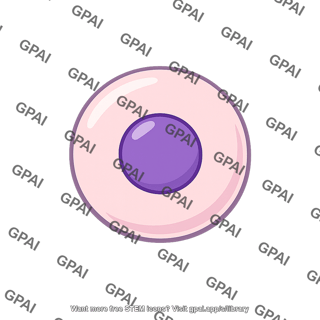 Stem cell