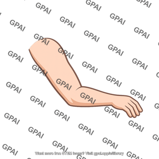 Limb