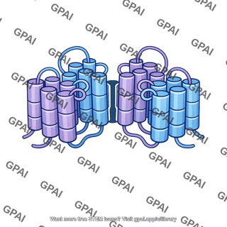 Transmembrane channel protein