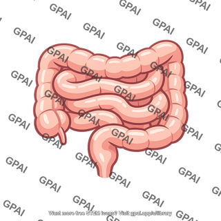 Gut