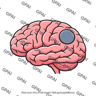 Brain region inactivated