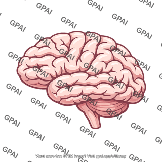 Human brain