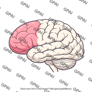 Frontal lobe