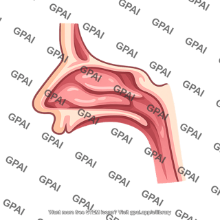 Nasal passage