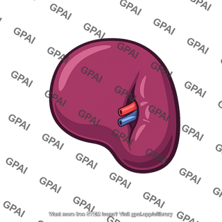 Spleen