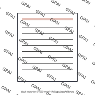 Worksheet paper