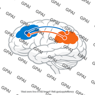 Parieto frontal network