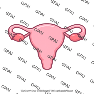 Female reproductive system