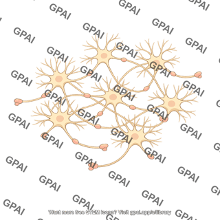 Human neural network