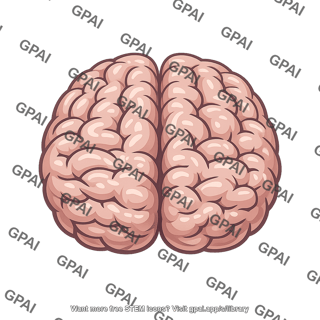 Brain dorsal realistic