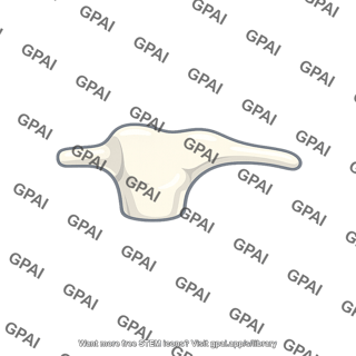 Anvil of ear