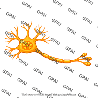 Dopamine neuron