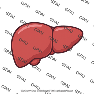 Human liver