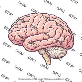 Brain lateral