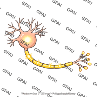 Neuron firing