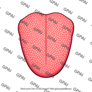 Tongue dorsal surface