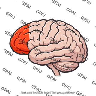 Prefrontal cortex