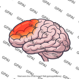 Frontal cortex active