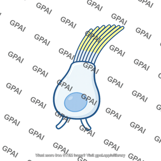 Hair cell stimulated