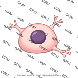 Cell body