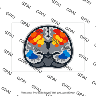 Brain imaging scan