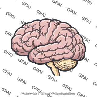 Human brain