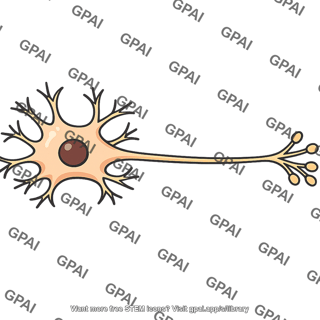 Nerve cell