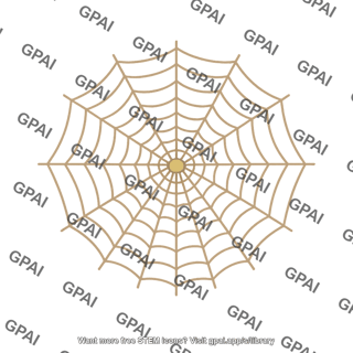 Spider web