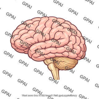 Man brain