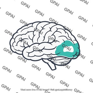 Visual association cortex