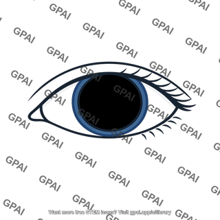 Human eye dark adapted