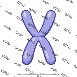 Sex chromosome x