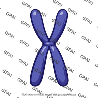 Chromosome