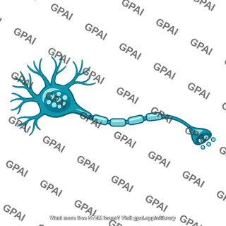 Serotonin neuron