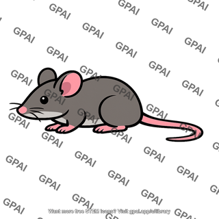 Mouse