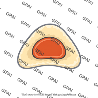 Adrenal medulla
