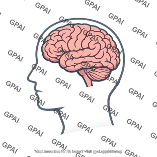 Human head brain